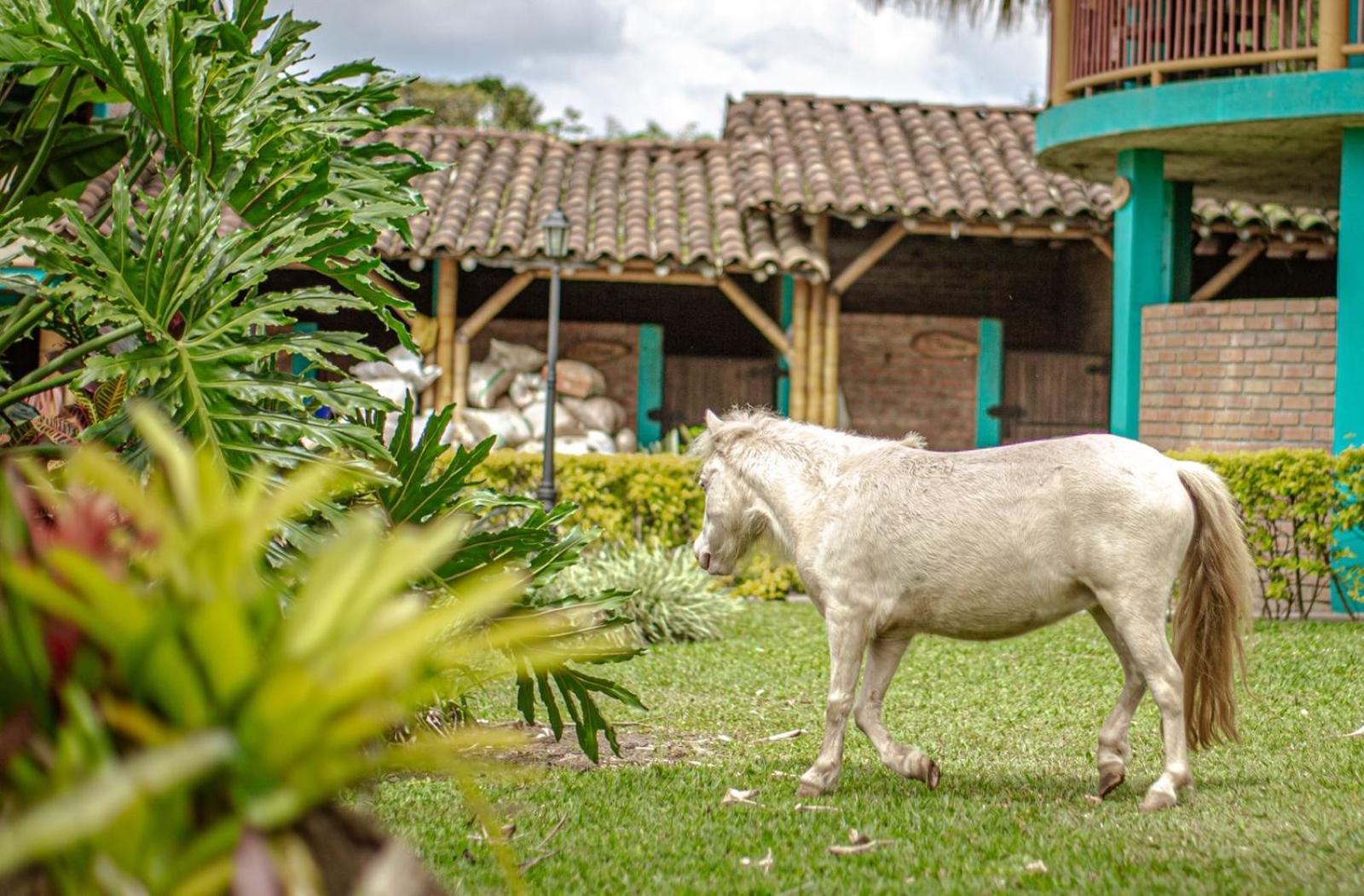 Finca Hotel El Diamante Calarca Luaran gambar